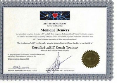 Certificate mBIT Coach Trainer 2018